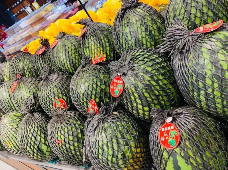 河南商丘夏邑麒麟西瓜🍉