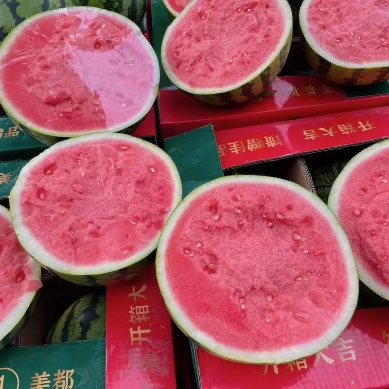 河南商丘夏邑麒麟西瓜🍉