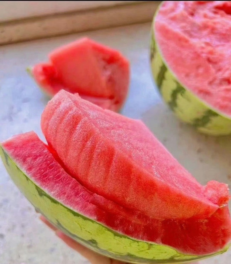 河南商丘夏邑麒麟西瓜🍉
