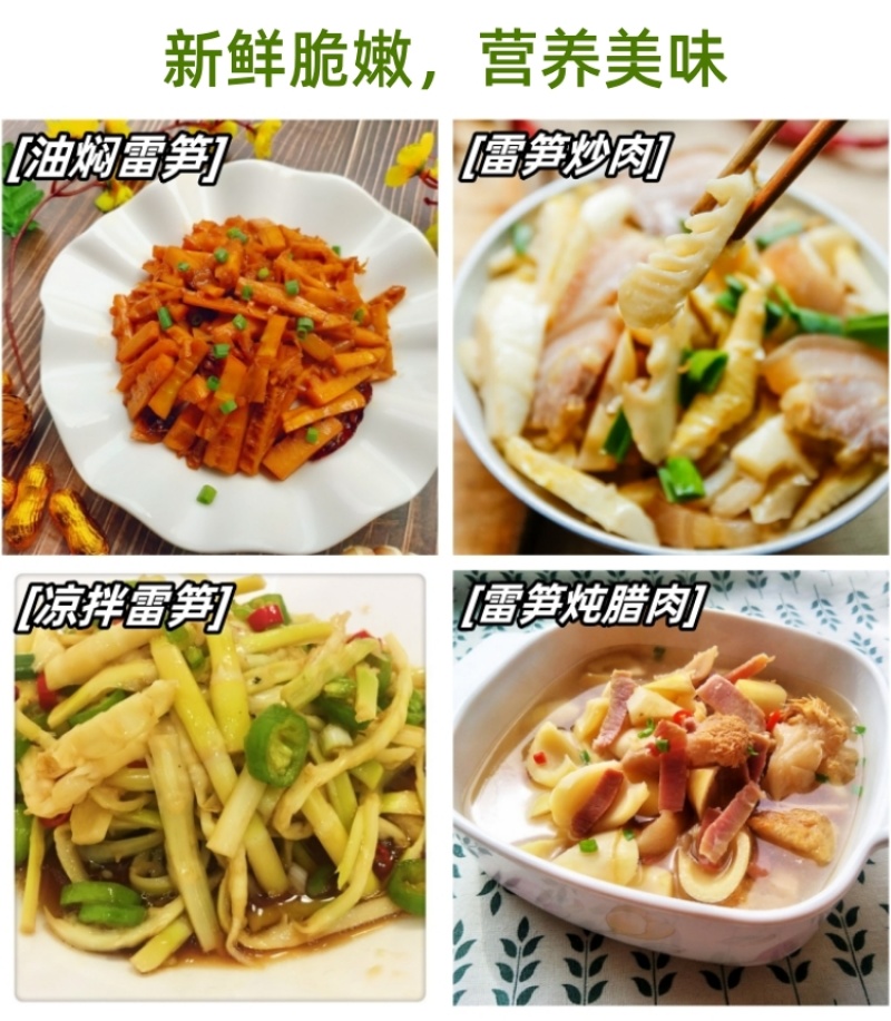 建瓯精品雷竹笋，现挖现发，肉质鲜嫩