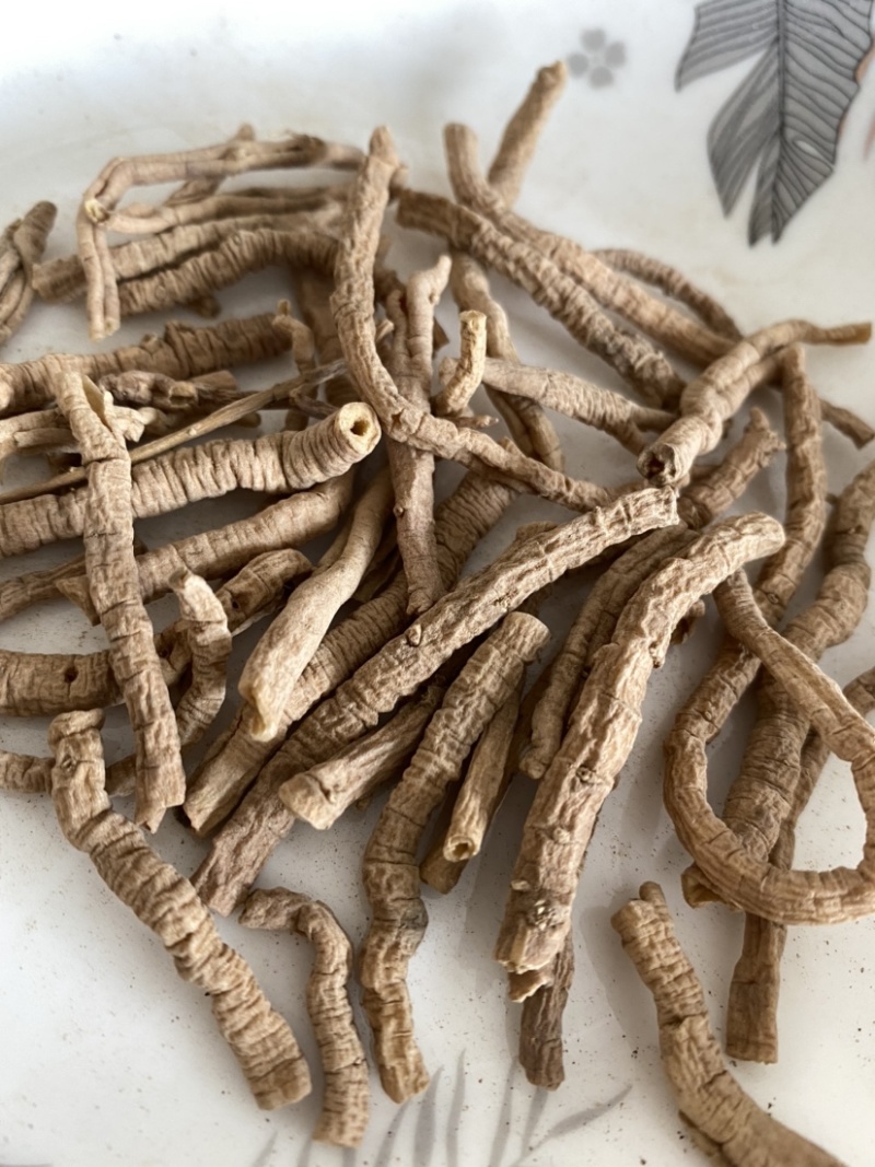 远志抽芯选货规格齐全产品实拍