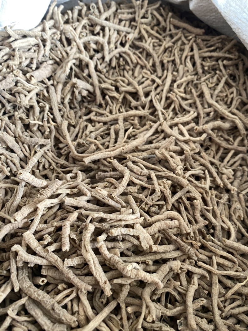 远志抽芯选货规格齐全产品实拍