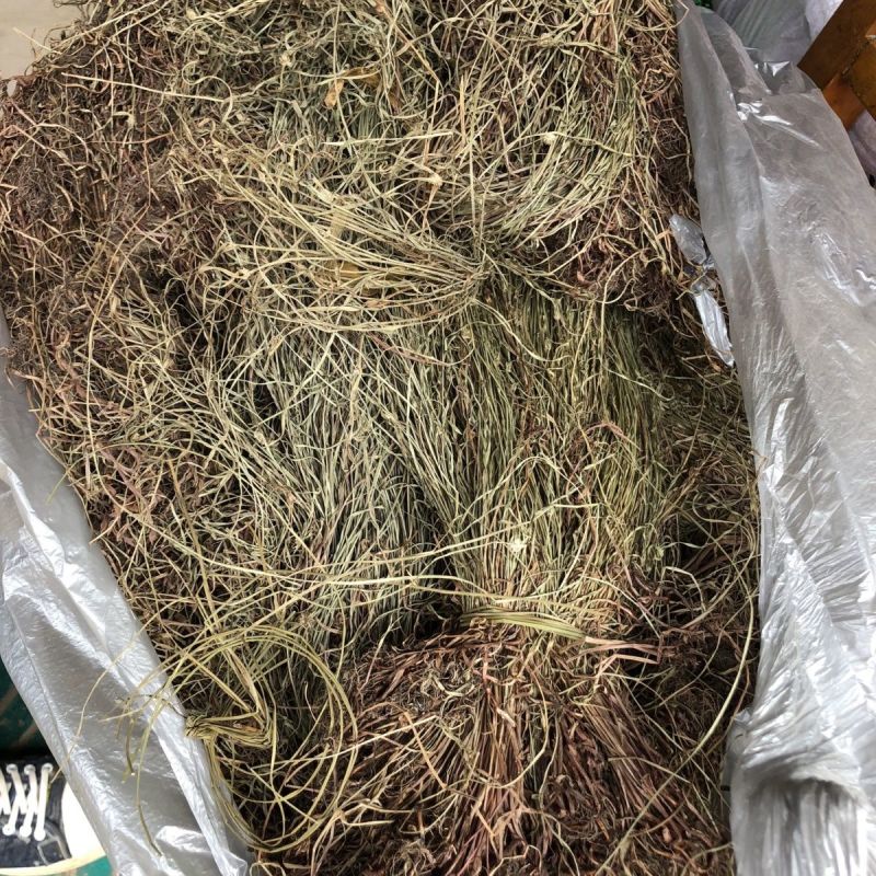 中药材水蜈蚣1公斤水蜈蚣草一箭球金钮草寒气草三荚