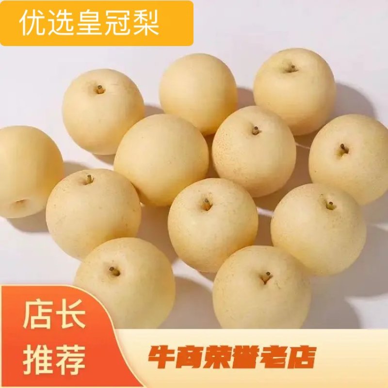 河北省辛集市皇冠梨河北皇冠梨，产地直发包脆包甜