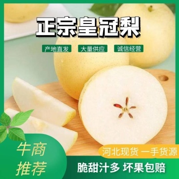 河北省辛集市皇冠梨河北皇冠梨，产地直发包脆包甜