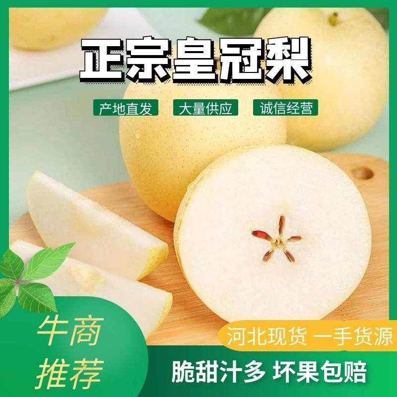 河北省辛集市皇冠梨河北皇冠梨，产地直发包脆包甜