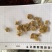 白附白附片产品实拍