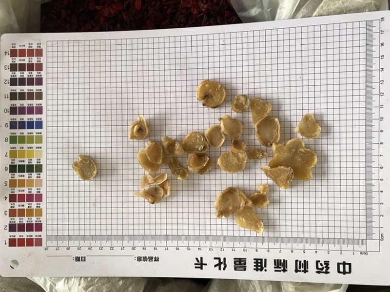 白附白附片产品实拍