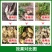 60%氯化胆碱地下根茎膨大生长调节剂