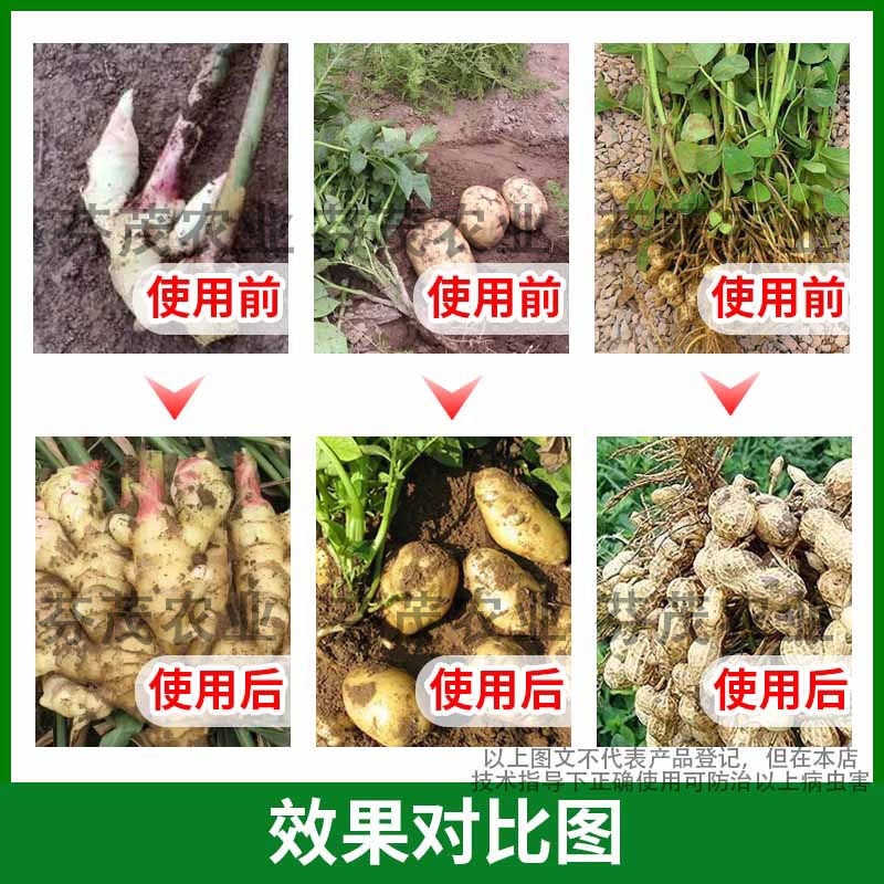 60%氯化胆碱地下根茎膨大生长调节剂