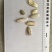 海蛸乌贼骨产品实拍质量保证