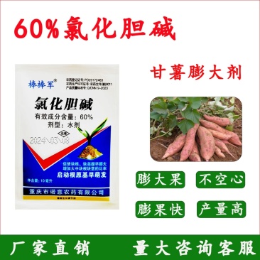 氯化胆碱促使大葱大姜大蒜洋葱茎根膨大块茎块根膨大