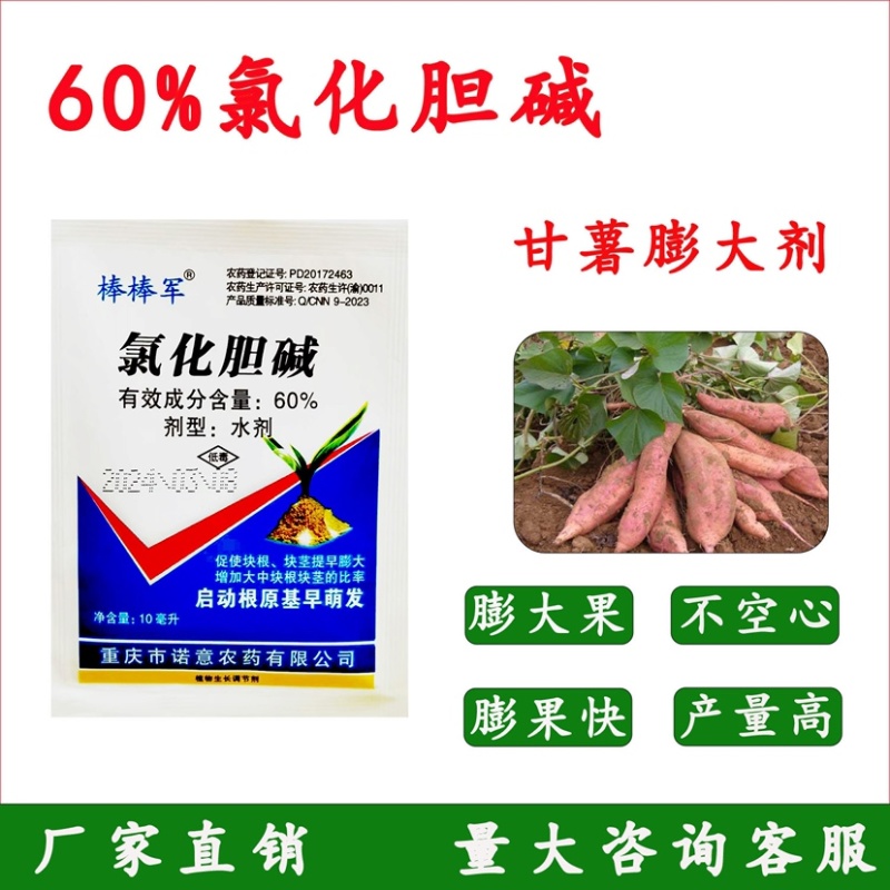 氯化胆碱促使大葱大姜大蒜洋葱茎根膨大块茎块根膨大