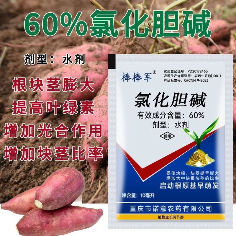 氯化胆碱促使大葱大姜大蒜洋葱茎根膨大块茎块根膨大