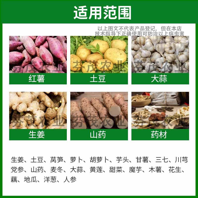 氯化胆碱促使大葱大姜大蒜洋葱茎根膨大块茎块根膨大