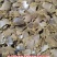 大量现货全国发货量大专车配送棉籽饼有机肥含蛋白质