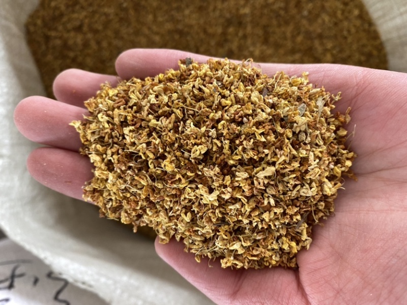 干桂花无硫桂花净货产品实拍质量保证