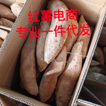 蜜薯红薯专业一件代发对接电商公司