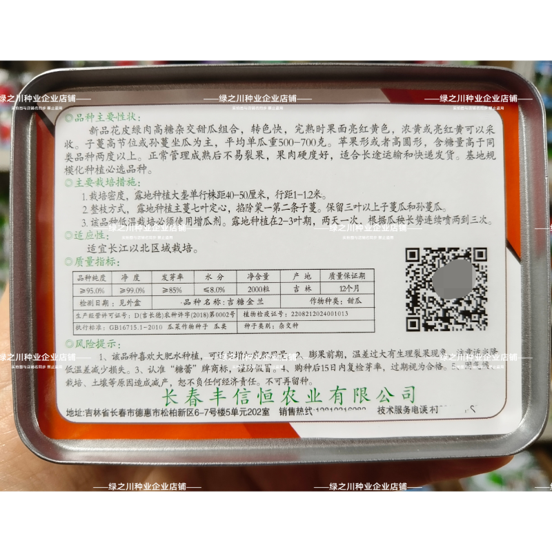 吉糖金兰甜瓜种子大果高糖露地改良版八里香甜瓜种子花皮绿肉