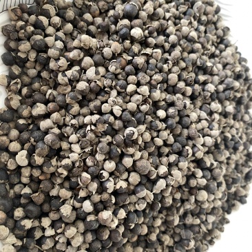 蔓荆子进口干净无硫产品实拍质量保证