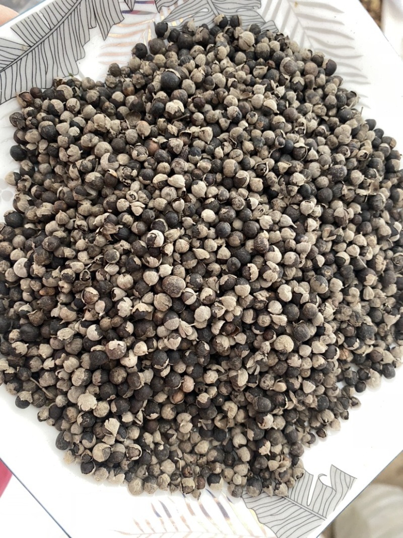 蔓荆子进口干净无硫产品实拍质量保证