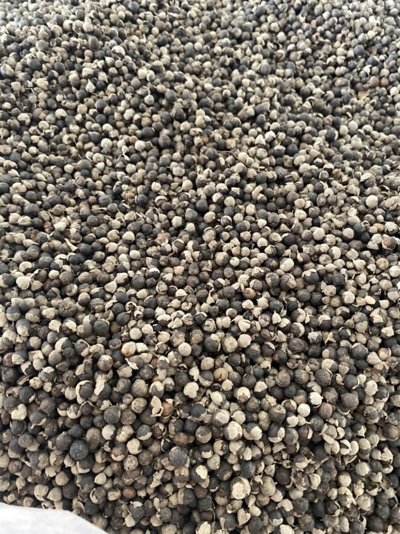 蔓荆子进口干净无硫产品实拍质量保证
