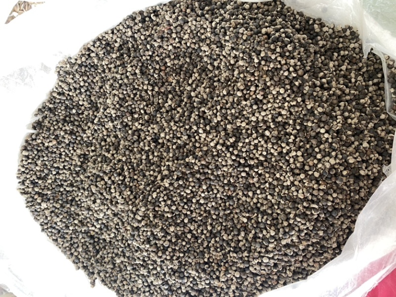 蔓荆子进口干净无硫产品实拍质量保证