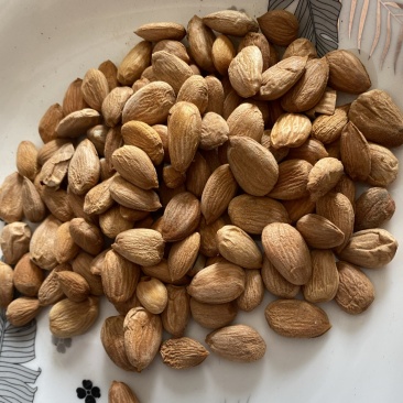 桃仁扁桃仁带皮颗粒饱满产品实拍
