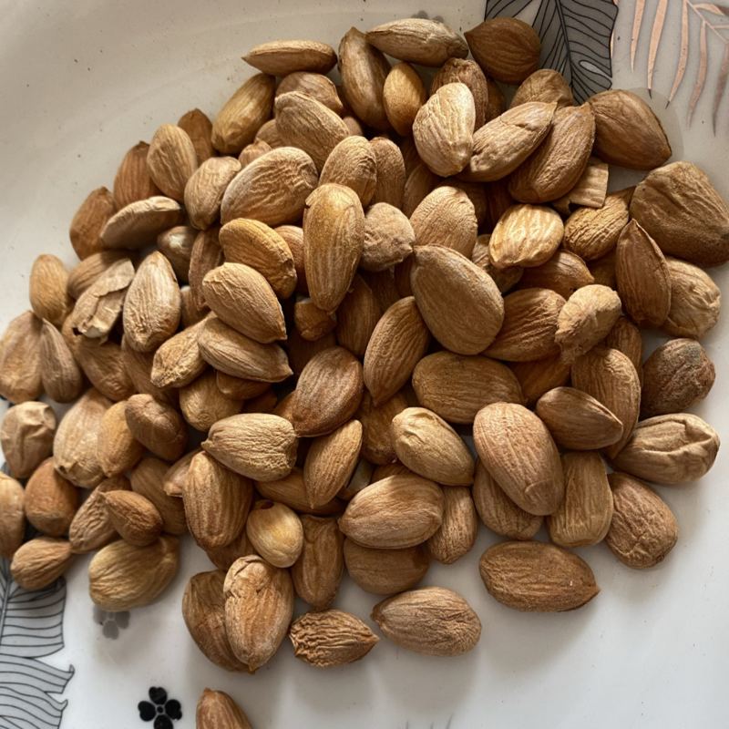 桃仁扁桃仁带皮颗粒饱满产品实拍