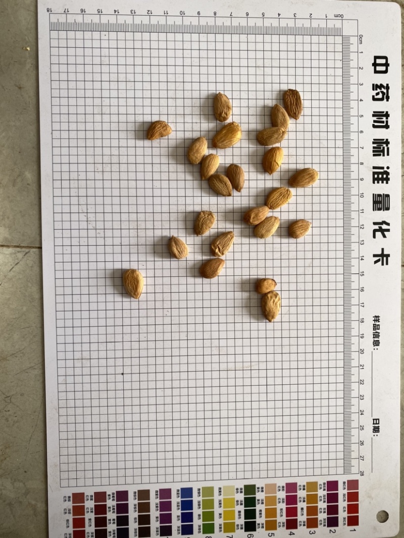 桃仁扁桃仁带皮颗粒饱满产品实拍