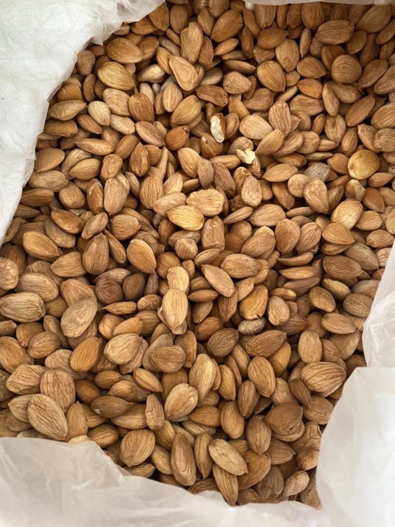 桃仁扁桃仁带皮颗粒饱满产品实拍