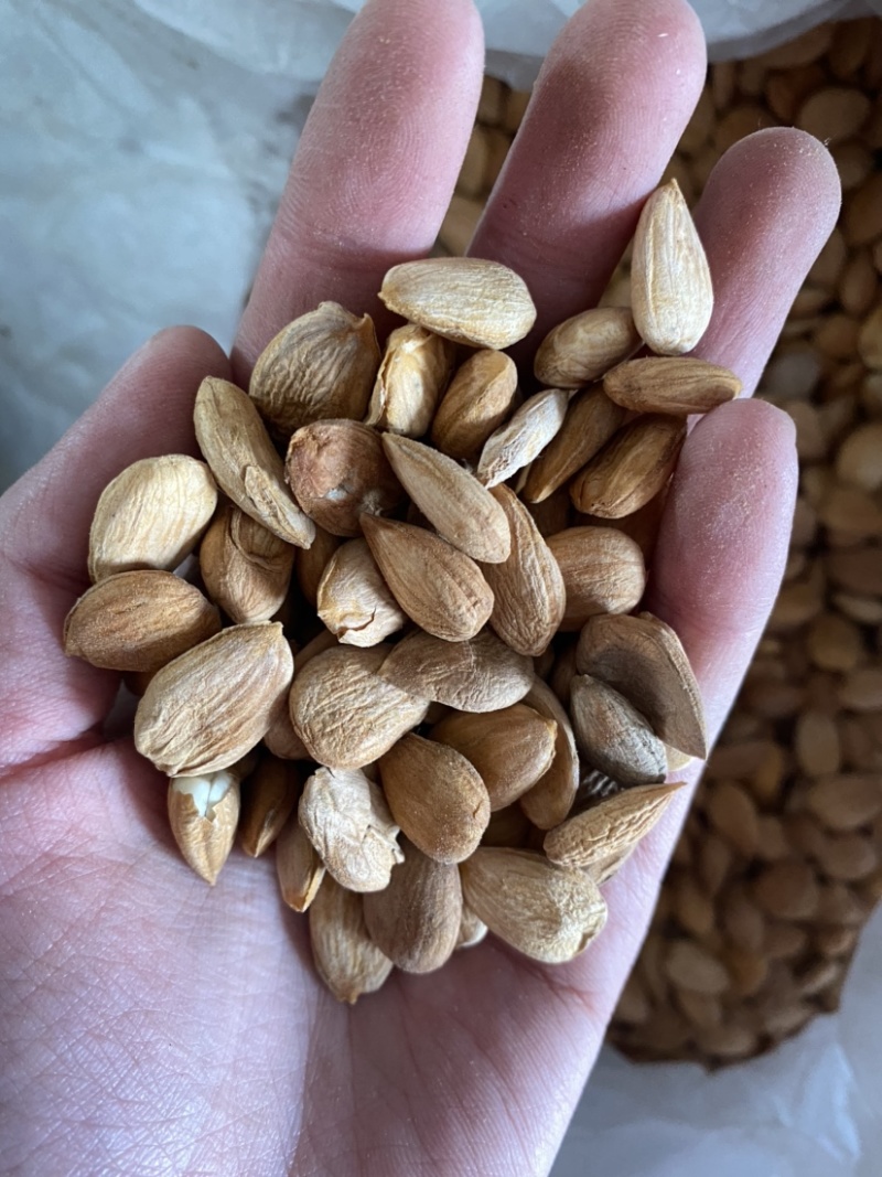桃仁扁桃仁带皮颗粒饱满产品实拍