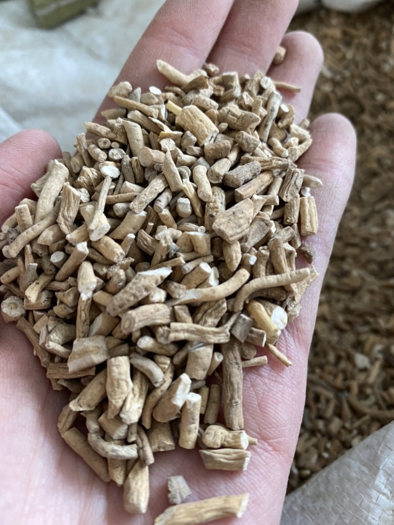 板蓝根细产品实拍质量保证