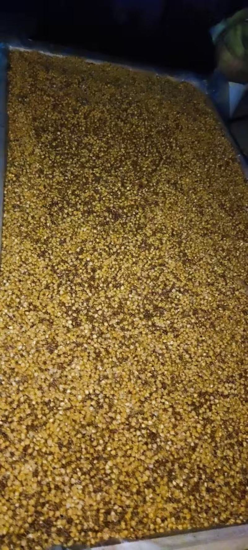 陕西纯粮食酒无勾兑无添加诚信商户产地直发假一罚十