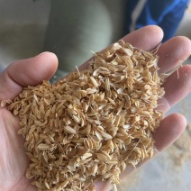 大米生产厂家常年供应稻壳品质有保障欢迎与您合作