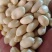 乳白花生米，脱皮花生米，花生米，白花生米