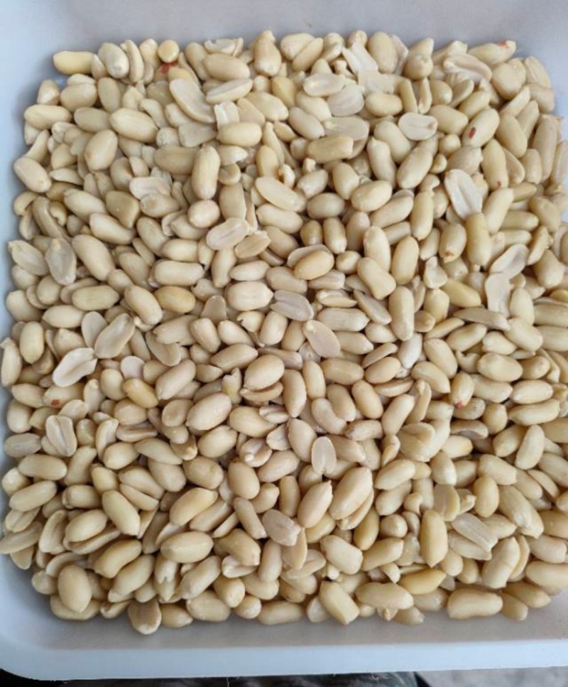 乳白花生米，脱皮花生米，花生米，白花生米