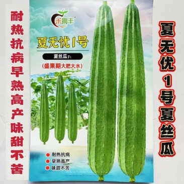 夏无忧1号丝瓜种子夏播早熟大肉花点丝瓜种夏季南方种植耐热
