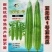 夏无忧1号丝瓜种子夏播早熟大肉花点丝瓜种夏季南方种植耐热