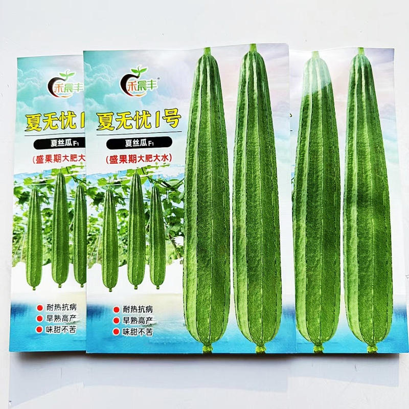 夏无忧1号丝瓜种子夏播早熟大肉花点丝瓜种夏季南方种植耐热