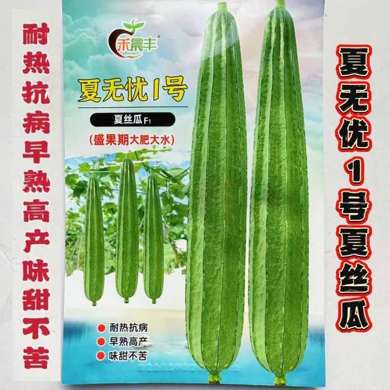 夏无忧1号丝瓜种子夏播早熟大肉花点丝瓜种夏季南方种植耐热