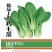 精品上海鸡毛菜-鸡毛菜种子耐寒耐抽苔口感好叶片肥厚