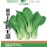 精品上海鸡毛菜-鸡毛菜种子耐寒耐抽苔口感好叶片肥厚
