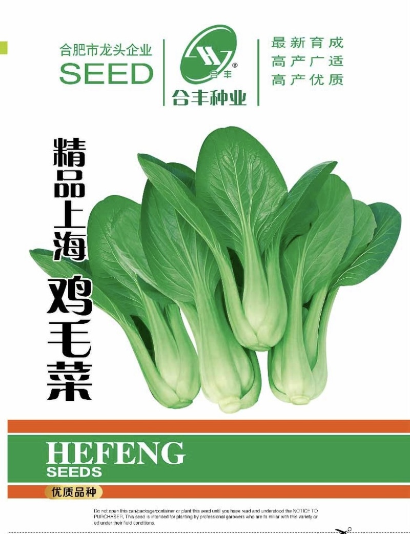 精品上海鸡毛菜-鸡毛菜种子耐寒耐抽苔口感好叶片肥厚