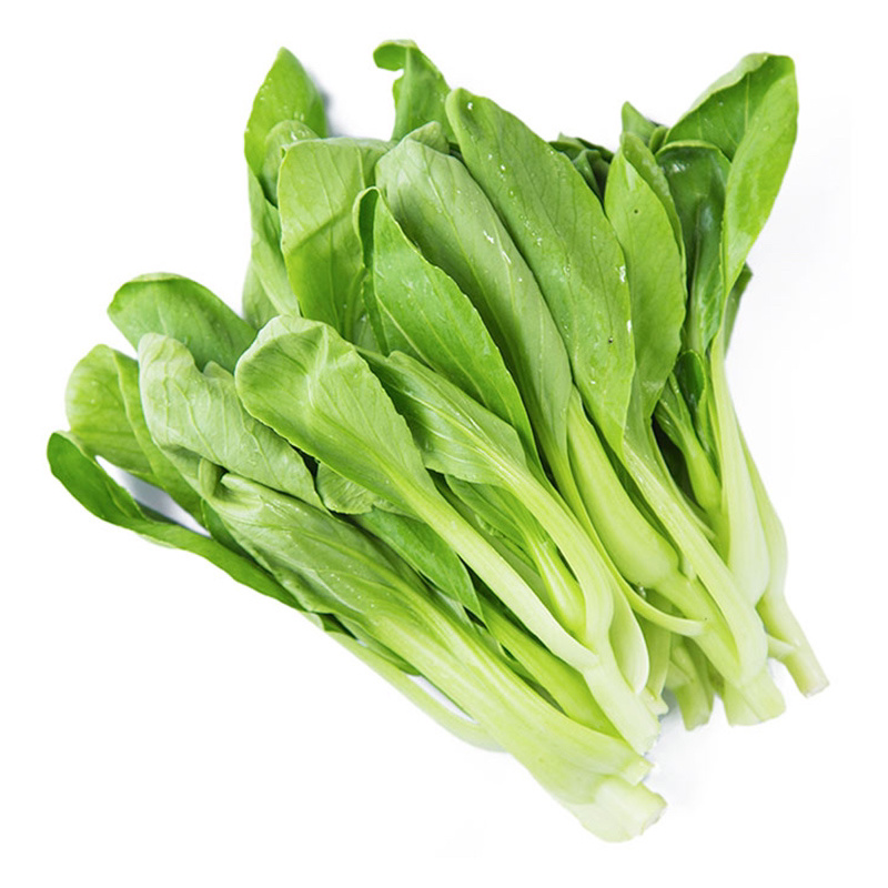 精品上海鸡毛菜-鸡毛菜种子耐寒耐抽苔口感好叶片肥厚