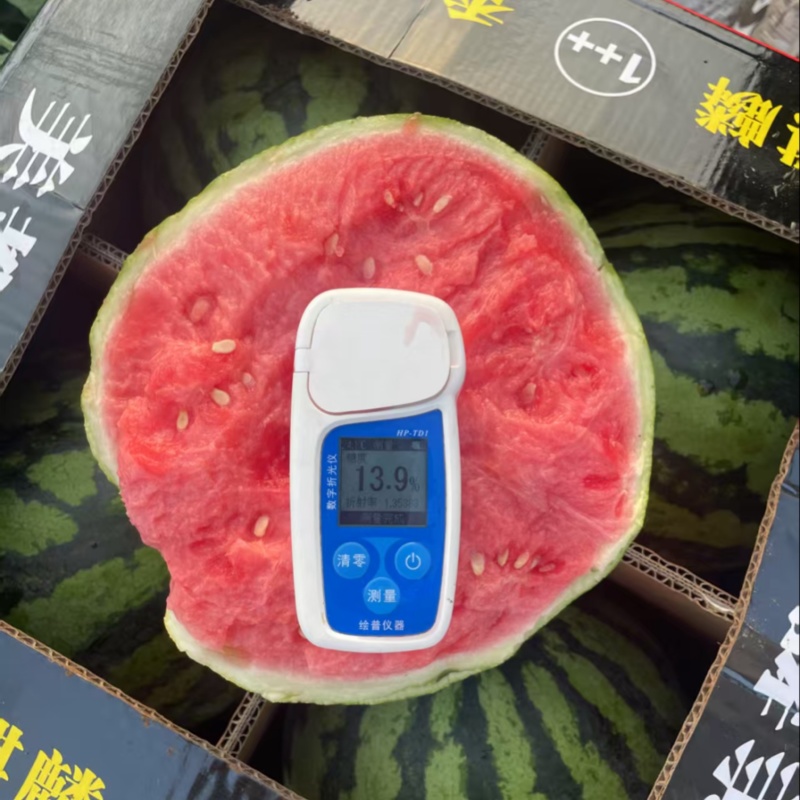 美都麒麟西瓜大量供应高次通货市场电商整车夏邑精品西瓜