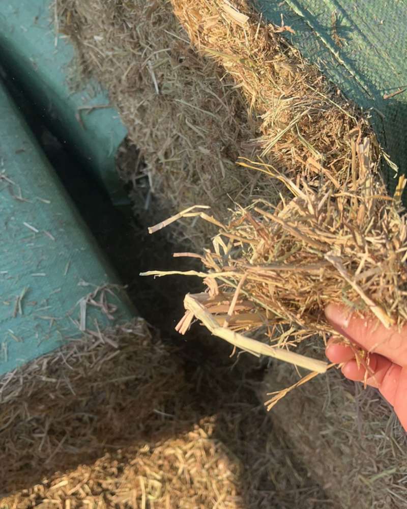湖北省天门市稻草撕碎过筛风选，一手货源，欢迎致电联系