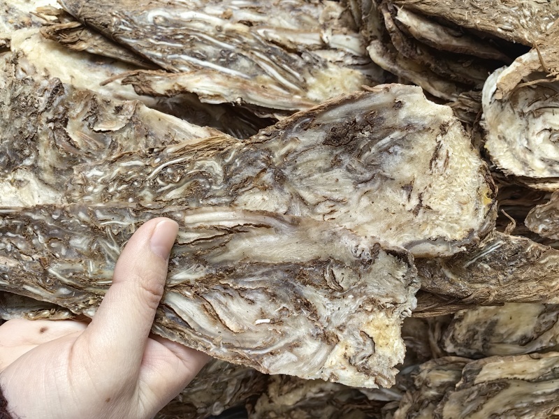 当归压片当归佛手片规格齐全可供实体店批发零售量大价优