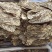 当归压片当归佛手片规格齐全可供实体店批发零售量大价优