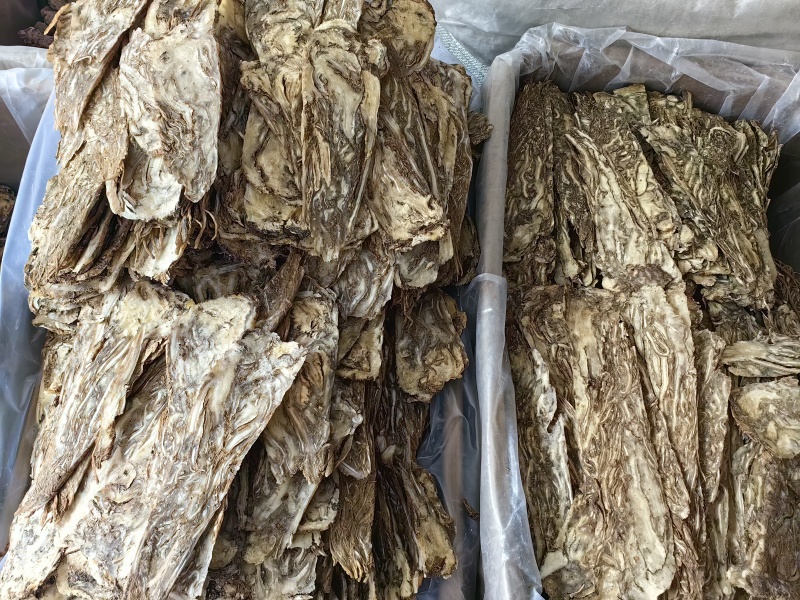 当归压片当归佛手片规格齐全可供实体店批发零售量大价优